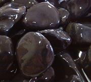 bolo negre pur